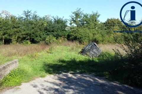 Terra a Alvignano, Caserta, Alvignano - € 200.000 | Ref: TV3 - foto 5