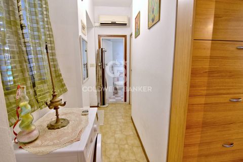Villa a Campo Nell'Elba, Livorno, Campo Nell'Elba - € 190.000 | Ref: CBI123-1458-159 - foto 12