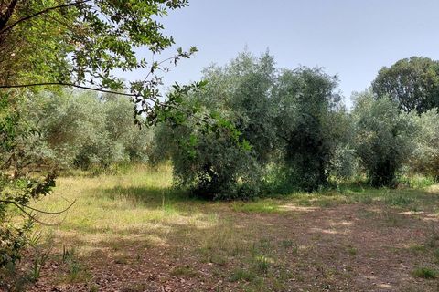 Villa i Spinetoli, Ascoli Piceno, Spinetoli - € 500.000 | Ref: VD2417 - foto 11