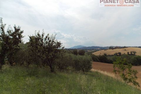 Villa - Offida, Ascoli Piceno, Offida - € 209 000 | Réf : VC2443 - photo 9