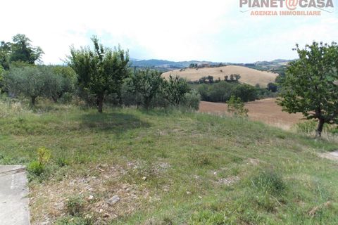 Villa - Offida, Ascoli Piceno, Offida - € 209 000 | Réf : VC2443 - photo 11
