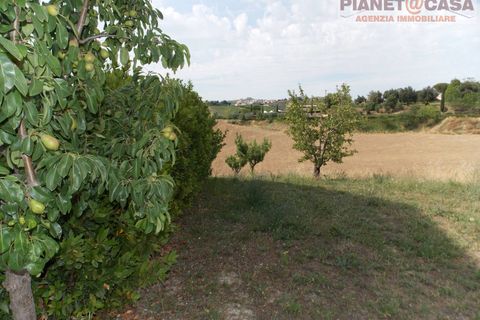 Villa - Offida, Ascoli Piceno, Offida - € 209 000 | Réf : VC2443 - photo 12