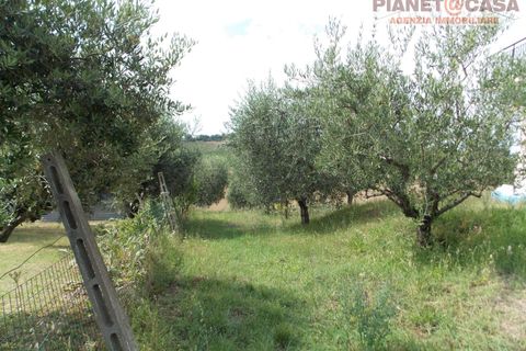 Villa - Offida, Ascoli Piceno, Offida - € 209 000 | Réf : VC2443 - photo 13