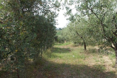 Villa - Offida, Ascoli Piceno, Offida - € 209 000 | Réf : VC2443 - photo 15