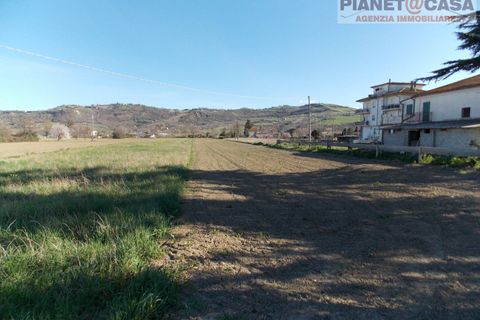 Terra a Spinetoli, Ascoli Piceno, Spinetoli - € 15.000 | Ref: VM2497 - foto 2