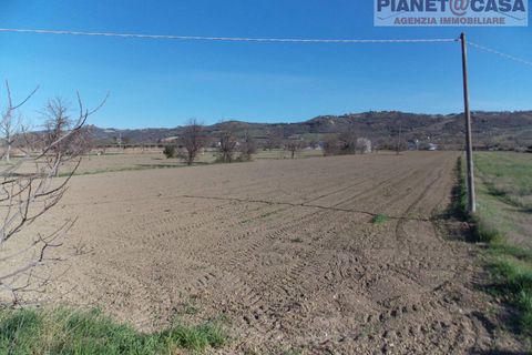 Terra a Spinetoli, Ascoli Piceno, Spinetoli - € 15.000 | Ref: VM2497 - foto 3