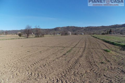 Terra a Spinetoli, Ascoli Piceno, Spinetoli - € 15.000 | Ref: VM2497 - foto 4