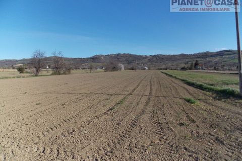 Terra a Spinetoli, Ascoli Piceno, Spinetoli - € 15.000 | Ref: VM2497 - foto 5