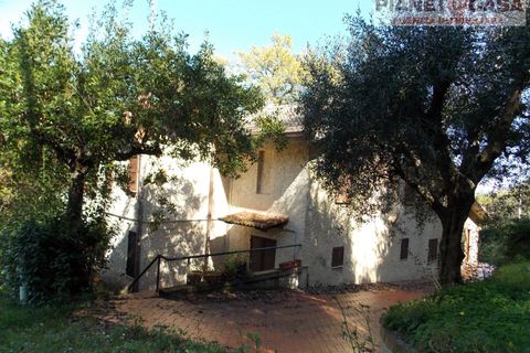 Villa a Colli del Tronto, Ascoli Piceno, Colli del Tronto - € 195.000 | Ref: VC2513 - foto 38