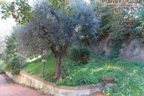Villa a Colli del Tronto, Ascoli Piceno, Colli del Tronto - € 195.000 | Ref: VC2513 - foto 40