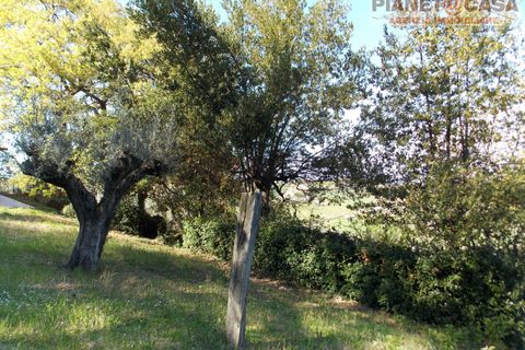 Villa a Colli del Tronto, Ascoli Piceno, Colli del Tronto - € 195.000 | Ref: VC2513 - foto 43