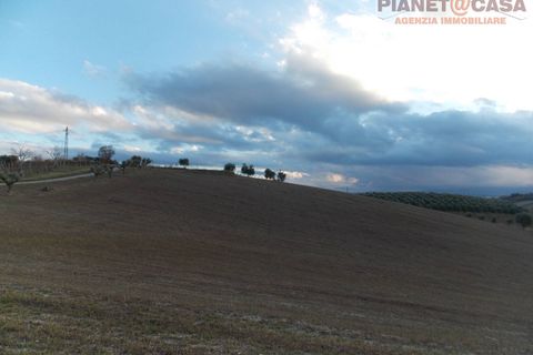 Helårsgrund i Spinetoli, Ascoli Piceno, Spinetoli - € 75.000 | Ref: VM2591 - foto 6