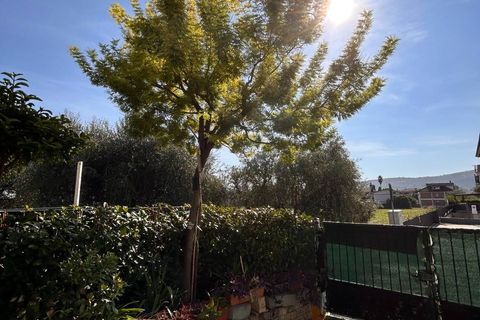 Lejlighed i Spinetoli, Ascoli Piceno, Spinetoli - € 158.000 | Ref: VM2656 - foto 27