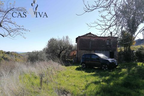 Masia a Acquaviva Picena, Ascoli Piceno, Acquaviva Picena - € 150.000 | Ref: CV9359 - foto 2