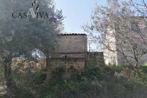 Masia a Acquaviva Picena, Ascoli Piceno, Acquaviva Picena - € 150.000 | Ref: CV9359 - foto 5