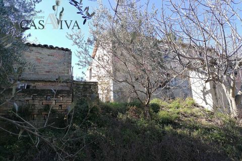 Masia a Acquaviva Picena, Ascoli Piceno, Acquaviva Picena - € 150.000 | Ref: CV9359 - foto 6