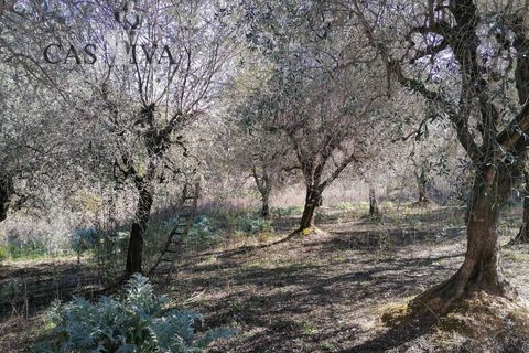 Masia a Acquaviva Picena, Ascoli Piceno, Acquaviva Picena - € 150.000 | Ref: CV9359 - foto 8