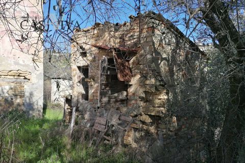 Masia a Acquaviva Picena, Ascoli Piceno, Acquaviva Picena - € 150.000 | Ref: CV9359 - foto 9