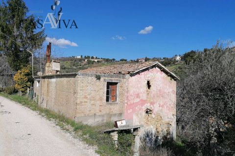 Masia a Acquaviva Picena, Ascoli Piceno, Acquaviva Picena - € 150.000 | Ref: CV9359 - foto 11