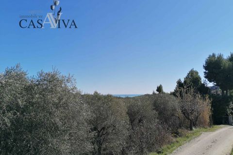 Masia a Acquaviva Picena, Ascoli Piceno, Acquaviva Picena - € 150.000 | Ref: CV9359 - foto 13