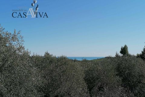 Masia a Acquaviva Picena, Ascoli Piceno, Acquaviva Picena - € 150.000 | Ref: CV9359 - foto 14