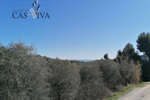 Masia a Acquaviva Picena, Ascoli Piceno, Acquaviva Picena - € 150.000 | Ref: CV9359 - foto 15