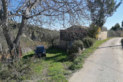 Masia a Acquaviva Picena, Ascoli Piceno, Acquaviva Picena - € 150.000 | Ref: CV9359 - foto 19