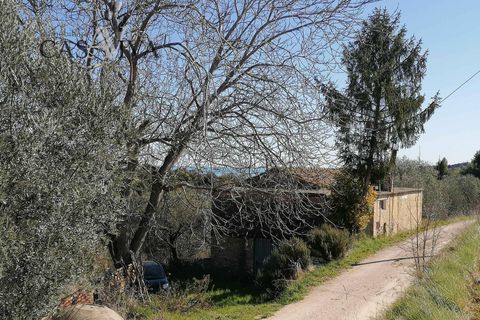 Masia a Acquaviva Picena, Ascoli Piceno, Acquaviva Picena - € 150.000 | Ref: CV9359 - foto 22