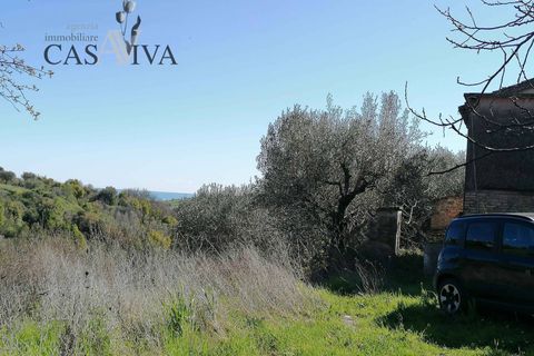 Masia a Acquaviva Picena, Ascoli Piceno, Acquaviva Picena - € 150.000 | Ref: CV9359 - foto 23