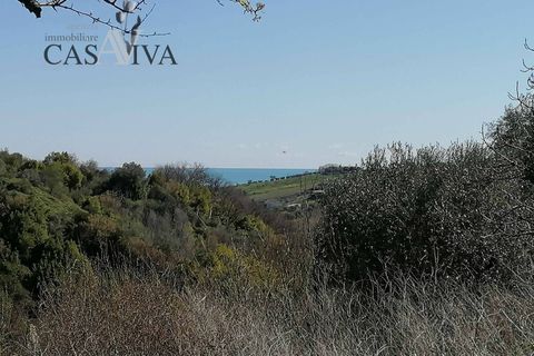 Masia a Acquaviva Picena, Ascoli Piceno, Acquaviva Picena - € 150.000 | Ref: CV9359 - foto 24