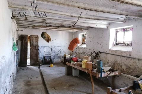 Masia a Acquaviva Picena, Ascoli Piceno, Acquaviva Picena - € 150.000 | Ref: CV9359 - foto 30