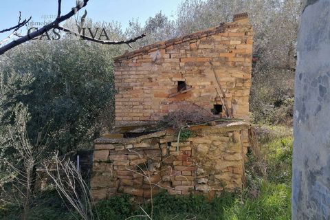 Masia a Acquaviva Picena, Ascoli Piceno, Acquaviva Picena - € 150.000 | Ref: CV9359 - foto 33