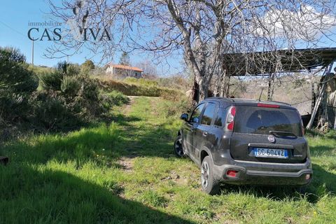 Masia a Acquaviva Picena, Ascoli Piceno, Acquaviva Picena - € 150.000 | Ref: CV9359 - foto 34