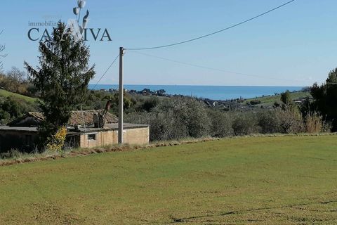 Masia a Acquaviva Picena, Ascoli Piceno, Acquaviva Picena - € 150.000 | Ref: CV9359 - foto 35