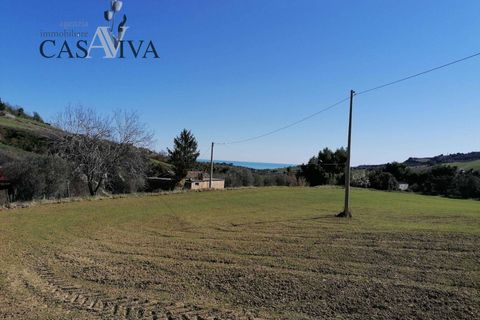 Masia a Acquaviva Picena, Ascoli Piceno, Acquaviva Picena - € 150.000 | Ref: CV9359 - foto 36