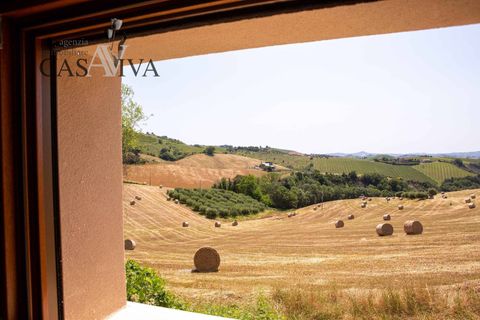 Herregård i Offida, Ascoli Piceno, Offida - € 300 000 | Ref: CV9413 - foto 19