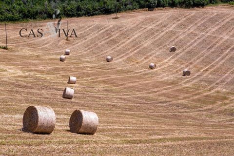 Herregård i Offida, Ascoli Piceno, Offida - € 300 000 | Ref: CV9413 - foto 24
