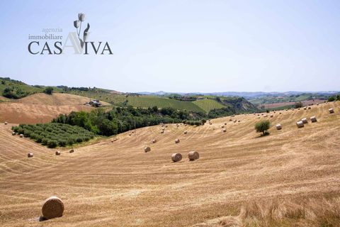 Herregård i Offida, Ascoli Piceno, Offida - € 300 000 | Ref: CV9413 - foto 46