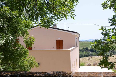 Herregård i Offida, Ascoli Piceno, Offida - € 300 000 | Ref: CV9413 - foto 47