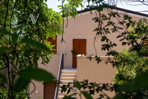 Herregård i Offida, Ascoli Piceno, Offida - € 300 000 | Ref: CV9413 - foto 49