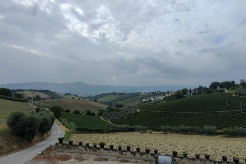Villa a Monteprandone, Ascoli Piceno, Monteprandone - € 175.000 | Ref: CV9417 - foto 22