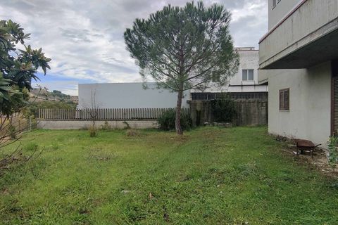 Villa i Acquaviva Picena, Ascoli Piceno, Acquaviva Picena - € 260.000 | Ref: CV9424 - foto 3