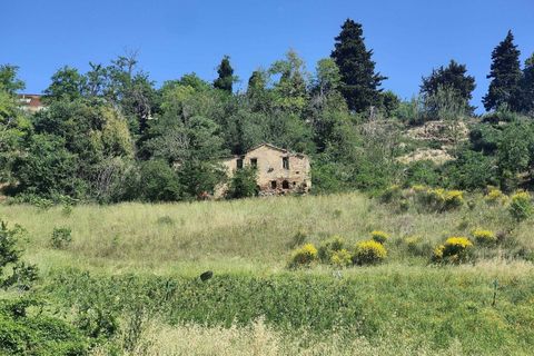 Landejendom i Ripatransone, Ascoli Piceno, Ripatransone - € 130.000 | Ref: CV9439 - foto 2