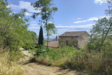 Landejendom i Ripatransone, Ascoli Piceno, Ripatransone - € 130.000 | Ref: CV9439 - foto 8