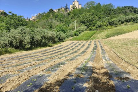 Landejendom i Ripatransone, Ascoli Piceno, Ripatransone - € 130.000 | Ref: CV9439 - foto 9