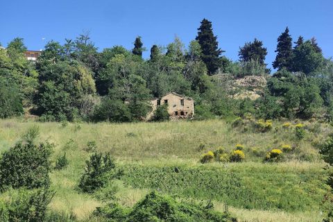 Landejendom i Ripatransone, Ascoli Piceno, Ripatransone - € 130.000 | Ref: CV9439 - foto 11