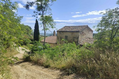 Landejendom i Ripatransone, Ascoli Piceno, Ripatransone - € 130.000 | Ref: CV9439 - foto 13