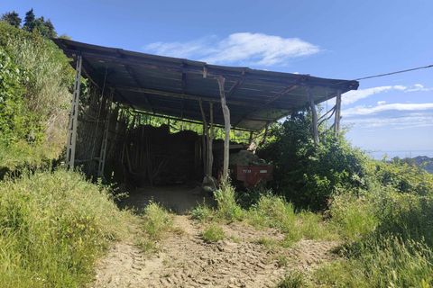 Landejendom i Ripatransone, Ascoli Piceno, Ripatransone - € 130.000 | Ref: CV9439 - foto 15