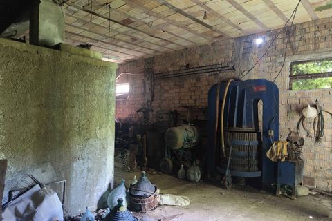 Landejendom i Ripatransone, Ascoli Piceno, Ripatransone - € 130.000 | Ref: CV9439 - foto 47