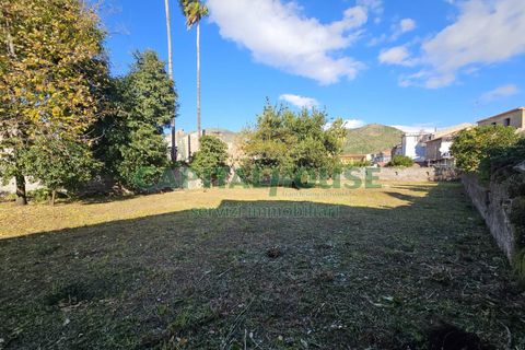 Tomt i Calvi Risorta, Caserta, Calvi Risorta - € 39 000 | Ref: 39edificabile - foto 3